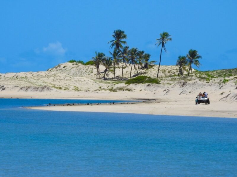 Entre o mar e a paisagem aberta, as experiências de Cascavel