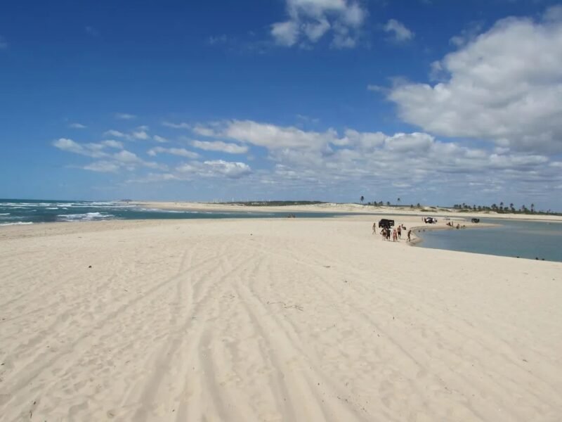Serviços que sustentam o cotidiano e o turismo em Cascavel