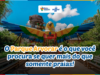 Parque Arvorar em Aquiraz: ecoturismo e aventura para crianças a 20 minutos de Fortaleza