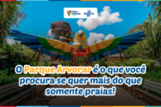 Parque Arvorar em Aquiraz: ecoturismo e aventura para crianças a 20 minutos de Fortaleza