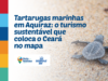 Tartarugas marinhas em Aquiraz: o turismo sustentável que coloca o Ceará no mapa