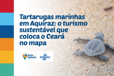 Tartarugas marinhas em Aquiraz: o turismo sustentável que coloca o Ceará no mapa