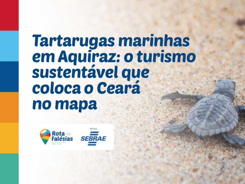Tartarugas marinhas em Aquiraz: o turismo sustentável que coloca o Ceará no mapa
