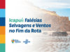 Icapuí: Falésias Selvagens e Ventos Marcam o Fim da Rota das Falésias
